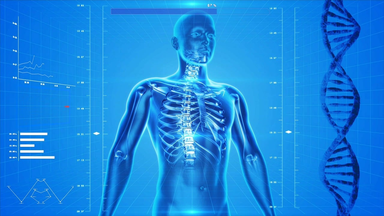 human skeleton, human body, anatomy, x-ray, human bones, skeletal system, healthcare, medicine, dna, helix, rib cage, skeleton, digital art, human body, human body, human body, human body, human body, healthcare, dna
